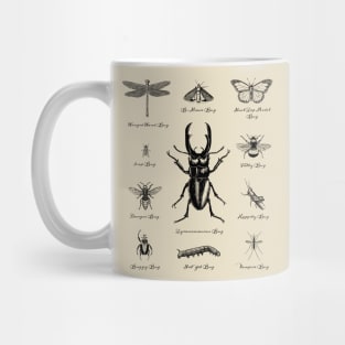 Bugs Beetles Insects Mug